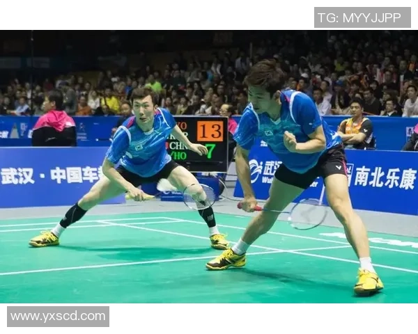 南京羽毛球队区域防守体系解析与战术应用探讨