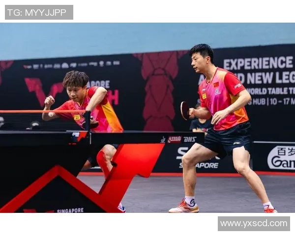 西安乒乓球队强势登顶最新乒乓球速度排行榜前十名