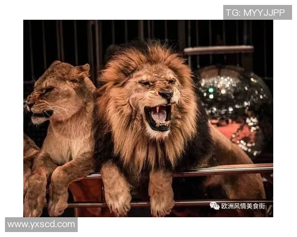 足球明星在赛场上忍俊不禁的搞笑瞬间引发全场欢笑与热烈掌声