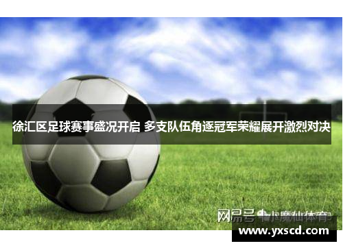 徐汇区足球赛事盛况开启 多支队伍角逐冠军荣耀展开激烈对决