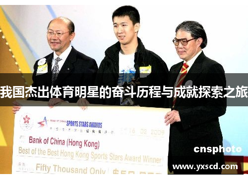 我国杰出体育明星的奋斗历程与成就探索之旅
