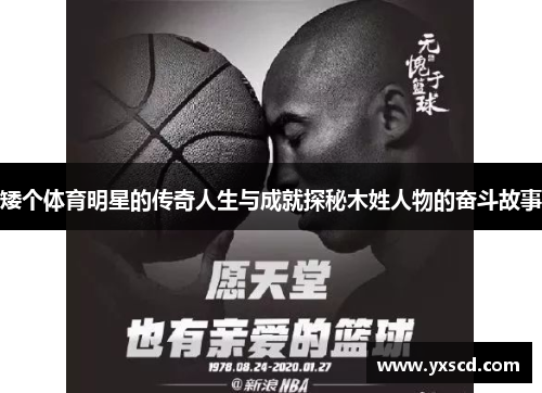 矮个体育明星的传奇人生与成就探秘木姓人物的奋斗故事